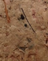 สมเด็จสรงน้ำหลังอุ ปี31 หลวงพ่อเกษม  เนื้อพิเศษ ผสมเกศา เคาะเดีย ว