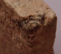 สมเด็จสรงน้ำหลังอุ ปี31 หลวงพ่อเกษม  เนื้อพิเศษ ผสมเกศา เคาะเดีย ว