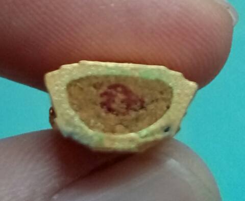 สมเด็จองค์ปฐม รุ่น 5 วัดท่าซุง