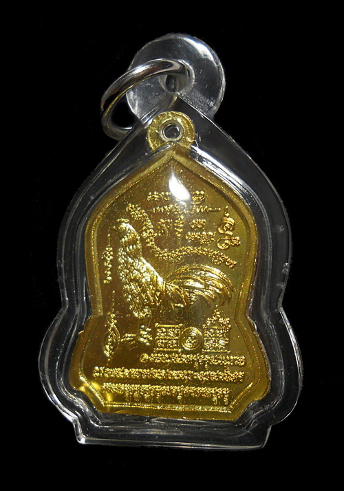 เหรียญหลวงพ่อรวย รุ่นเมตตา ปี ๒๕๕๙ วัดตะโก อ.ภาชี จ.อยุธยา