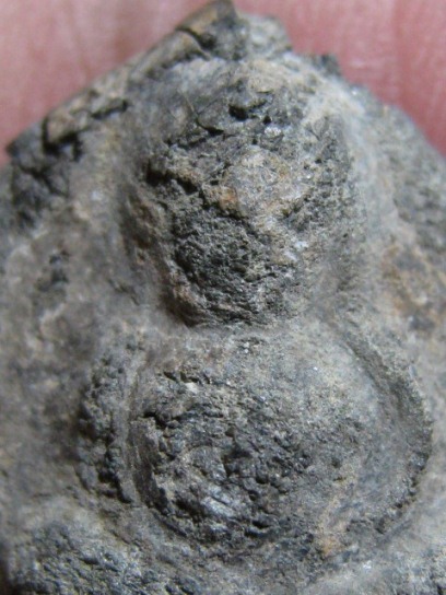 พระสังขจายย์ เนื้อชินเงิน จ.สุโขทัย ดูง่าย มีบัตรรับรองความแท้ให้ 1 ใบ