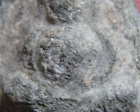 พระสังขจายย์ เนื้อชินเงิน จ.สุโขทัย ดูง่าย มีบัตรรับรองความแท้ให้ 1 ใบ