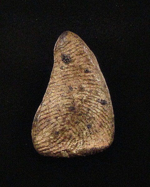 พระพิจิตรเกศตรง กรุวัดมหาธาตุ  จ.พิจิตร