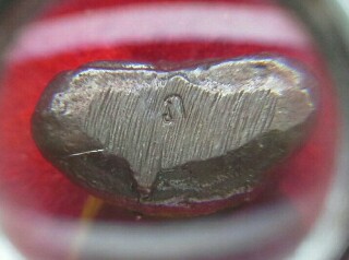 3 องค์ 3 แบบ พิธีเดียวกัน รับโชค รับลาภ หลวงปู่ทิม วัดละหารไร่ ตอกโค๊ตทุกองค์ครับ