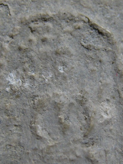 พระสมเด็จ พิมพ์ปรกโพธิ์ เนื้อผง วัดบึงพระยาสุเรนทร์ กรุงเทพฯ มาพร้อมบัตรรับรอง