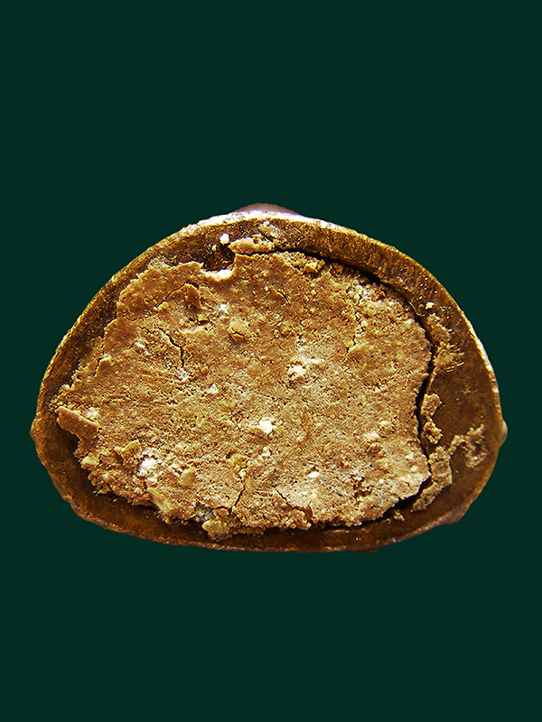 พระกริ่งอุดผงพรายกุมาร หลวงพ่อสาครวัดหนองกรับ จ.ระยอง ปี2548 รุ่นฉลองกฐิน   