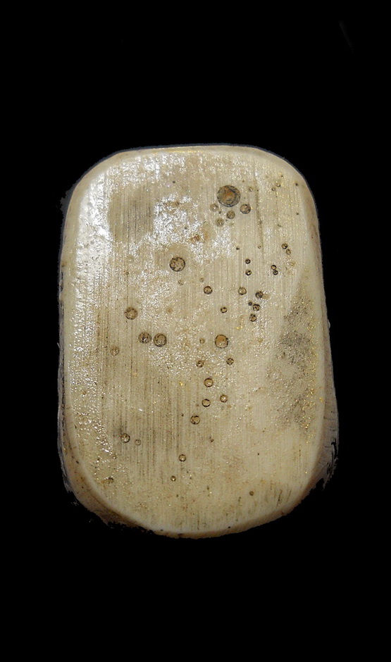 เสือหลวงพ่อเปิ่น เนื้อเรซิ่น  มีกริ่ง ปี 2535 