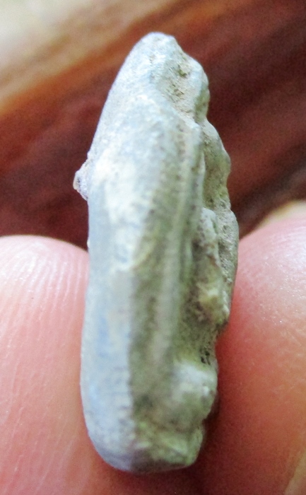 พระปิดตา กรุวัดท้ายตลาด