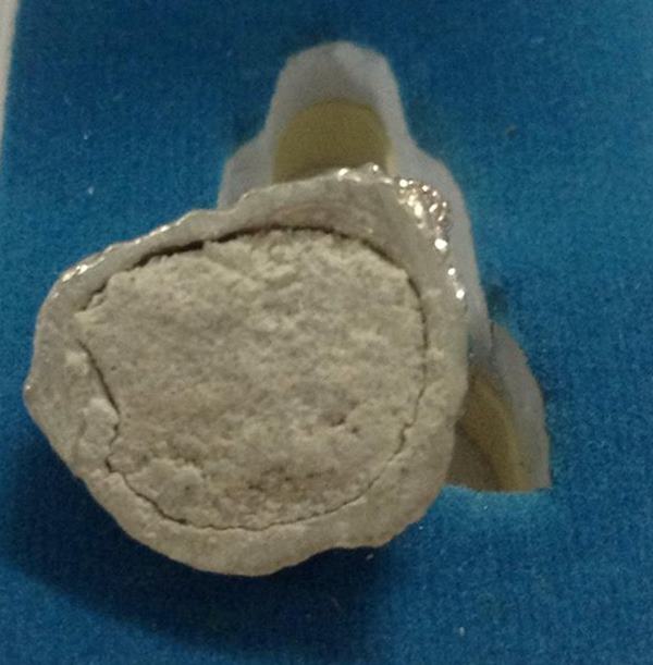 รูปหล่อฐานปูปลาเนื้อเงินก้นอุดผงหลวงพ่อสาคร