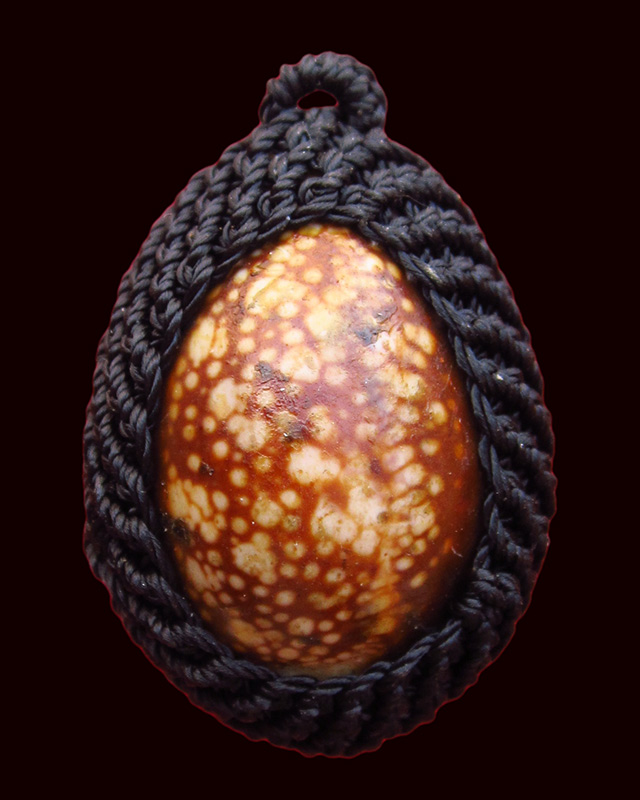 เบี้ยกัน รุ่น ๒ พร้อมกระดาษสารพัดกัน หลวงพ่อสาคร มนุญโญ วัดหนองกรับ จ.ระยอง  ปี ๒๕๕๔