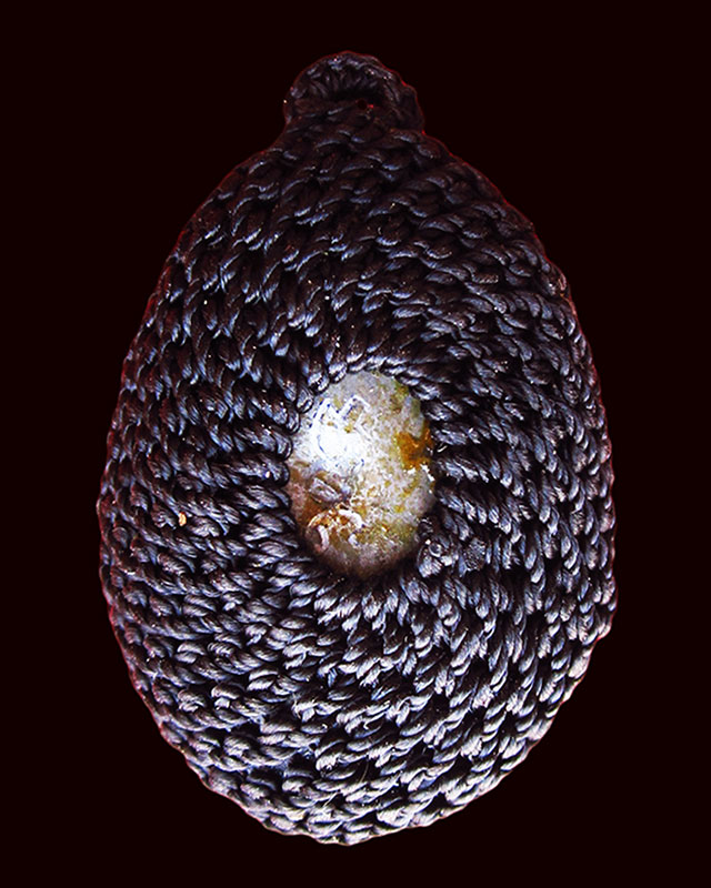 เบี้ยกัน รุ่น ๒ พร้อมกระดาษสารพัดกัน หลวงพ่อสาคร มนุญโญ วัดหนองกรับ จ.ระยอง  ปี ๒๕๕๔