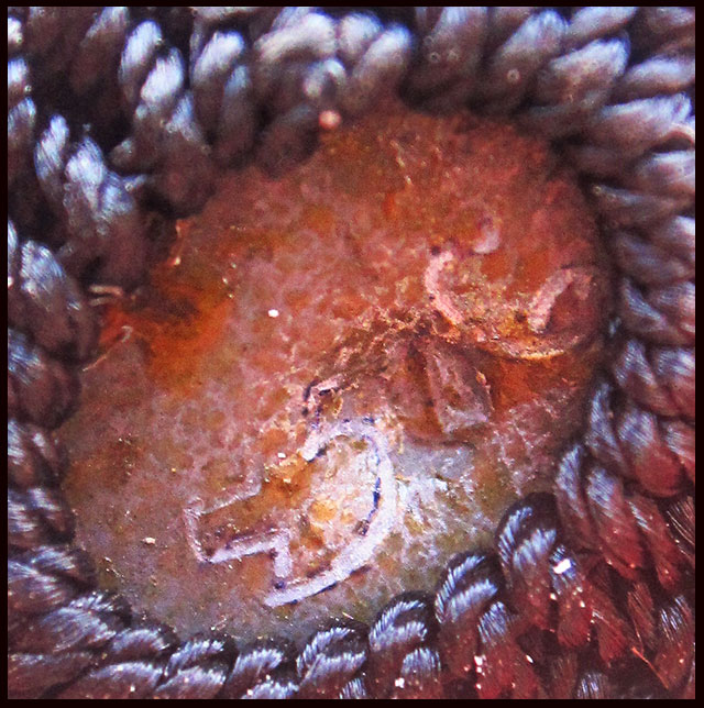 เบี้ยกัน รุ่น ๒ พร้อมกระดาษสารพัดกัน หลวงพ่อสาคร มนุญโญ วัดหนองกรับ จ.ระยอง  ปี ๒๕๕๔