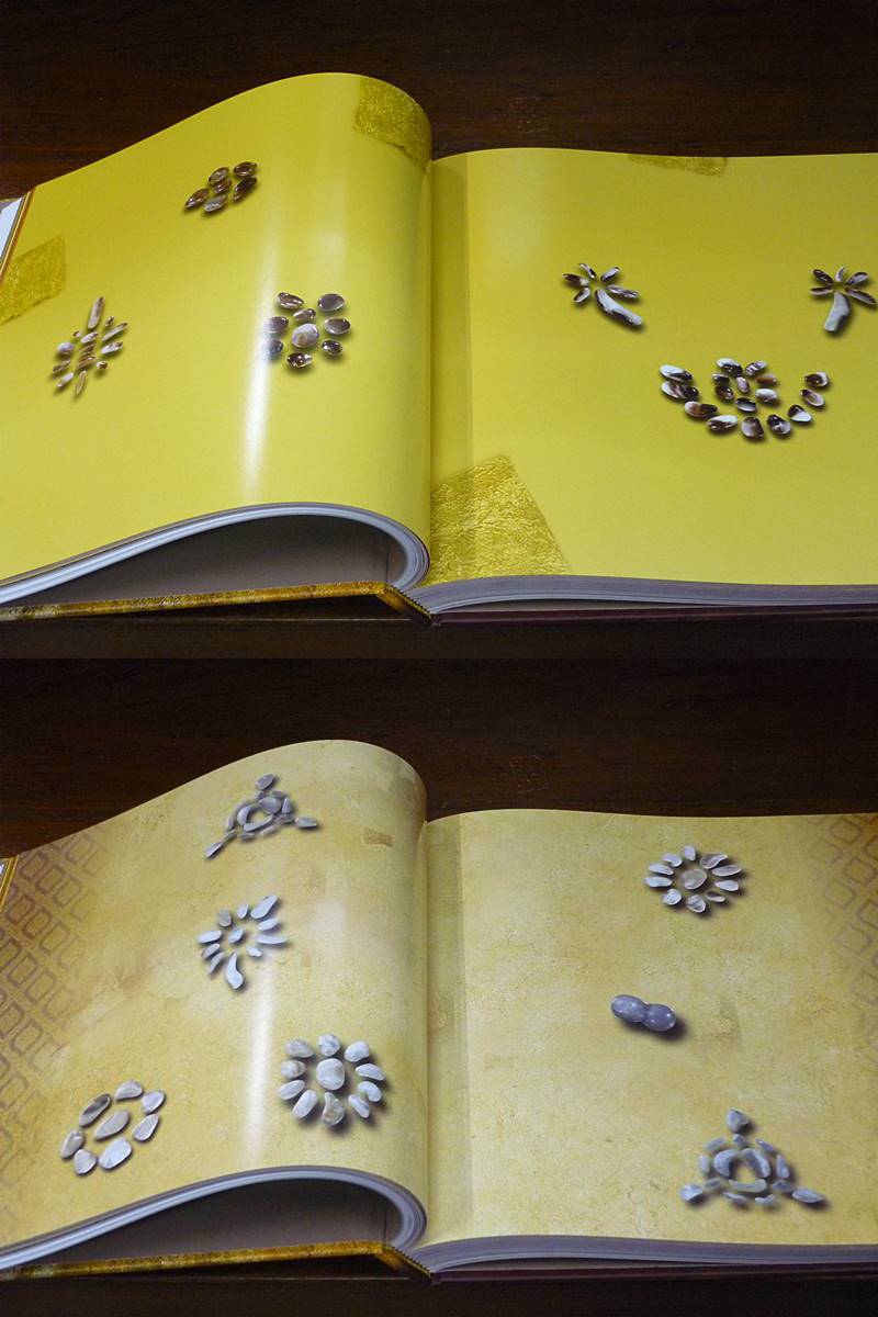 หนังสือพระบรมสารีริกธาตุในพระสังฆราชูปถัมภ์ ( 1 ชุด มี 2 เล่ม ) พร้อมกล่องสวยหรู