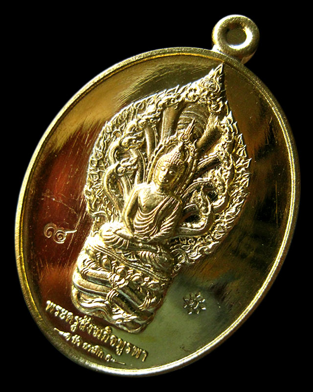 เหรียญมงคลมหาลาภ พิมพ์นาคปรก เนื้อทองทิพย์ หลวงปู่บัว ถามโก วัดศรีบรูพาราม จ.ตราด ปี ๒๕๕๙