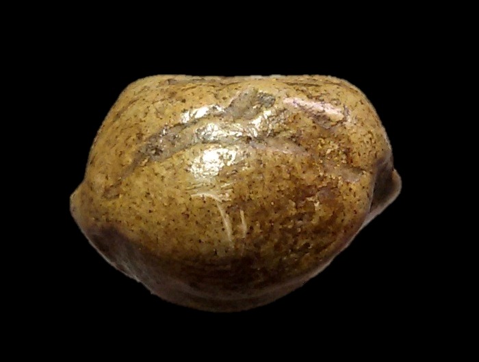 พระตงลำพูนสภาพดูง่ายคลาสสิคสบายตา พระแท้พันกว่าปีควรตค่าแก่การอนุรักษ์ครับท่าน