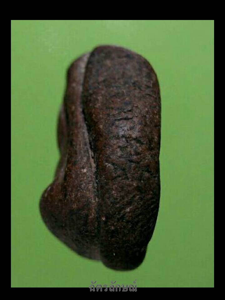 นางพิมพ์จิ๋ว กรุวังมะสะ