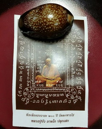 เบี้ยแก้+กระดาษยันต์สารพัดกันหลวงปู่ทิม