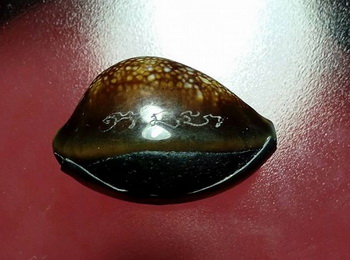 เบี้ยแก้+กระดาษยันต์สารพัดกันหลวงปู่ทิม