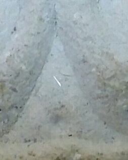 พระปิดตา รุ่นแรก หลวงปู่หมุน ฐิตสีโล