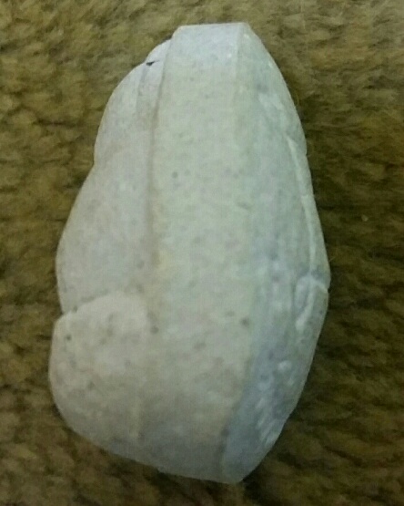 พระปิดตา รุ่นแรก หลวงปู่หมุน ฐิตสีโล