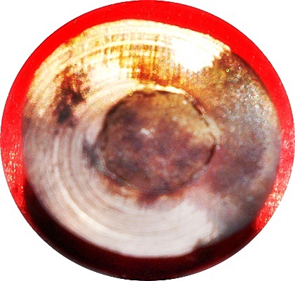 ***หนุมาน“รุ่นมหาปราบไพรี”เนื้อนวะโลหะอุดสีผึ้งหลวงปู่ #๔๑๖ ลป.บัวลพ.สาคร ร่วมปลุกเสก