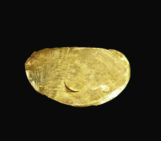 รูปเหมือนปั๊ม หลวงพ่อเงิน ปี 15 ออกวัดมูลเหล็ก พิมพ์มือนับแบ็งค์ (ไม่ตอกโค้ด)