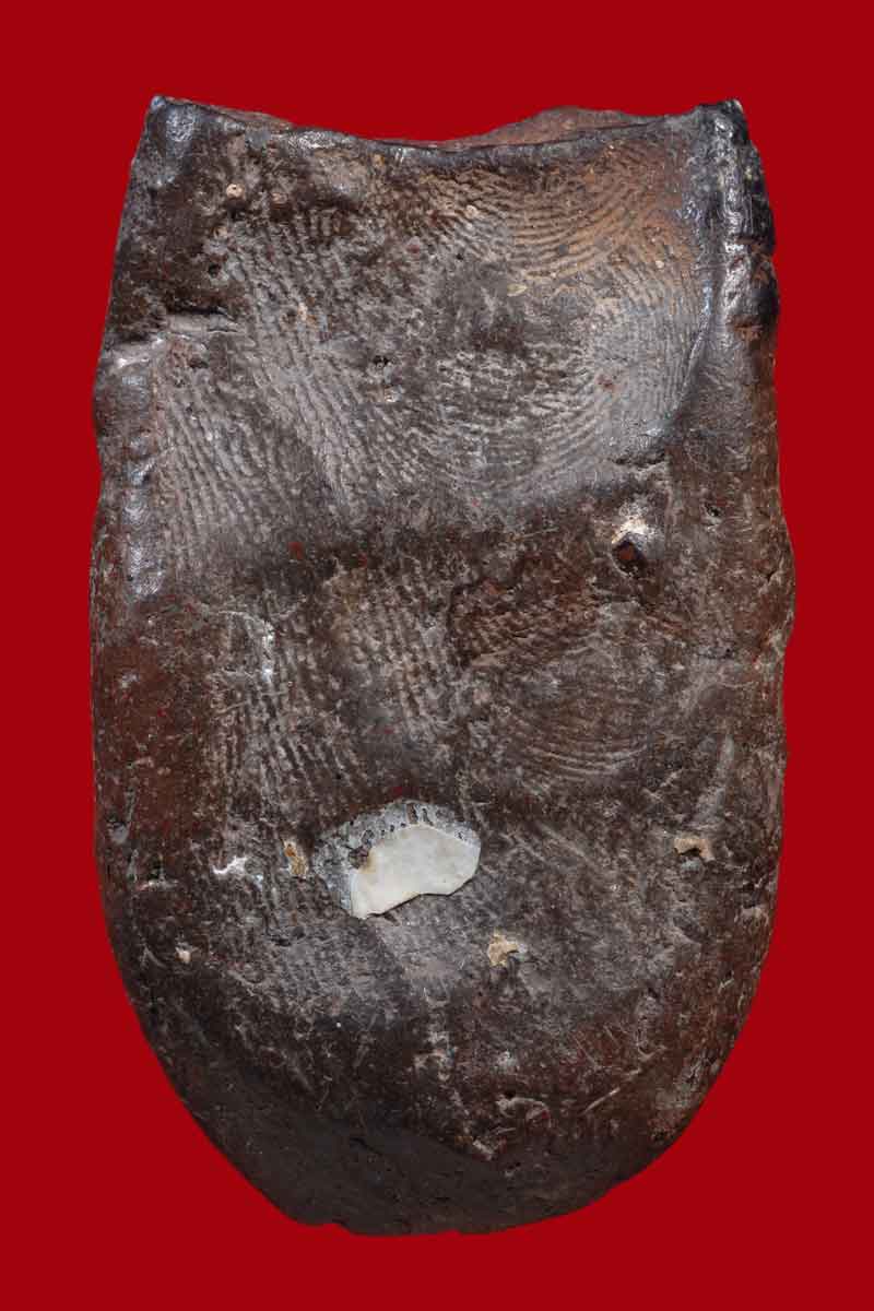 พระนาคปรก กรุเก่า วัด บรมธาตุ เนื้อดิน จ.กำแพงเพชร พิมพ์ใหญ่ + ใบรับรอง (มีกูแล้วไม่จน)