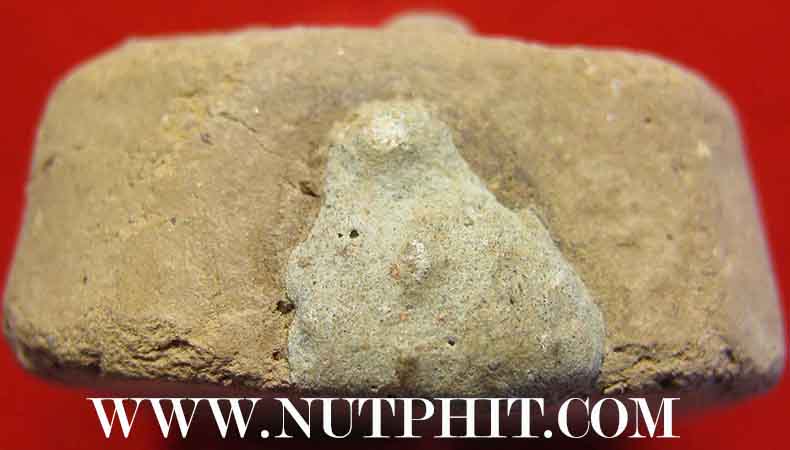 พระปัจเจกพุทธเจ้า ลพ.ฤาษีลิงดำ วัดท่าซุง พิมพ์ทรงครุฑ เนื้อดิน แพ็คคู่ 2 องค์*22