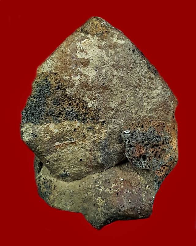 พญาครุฑหลวงพ่อยี ปญญภาโร (วัดดงตาก้อนทอง) จ.พิษณุโลก