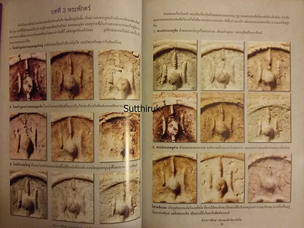 หนังสือ ตำราการศึกษา พระสมเด็จวัดเกศไชโย (ชี้จุดลับ-ตำหนิพิมพ์)