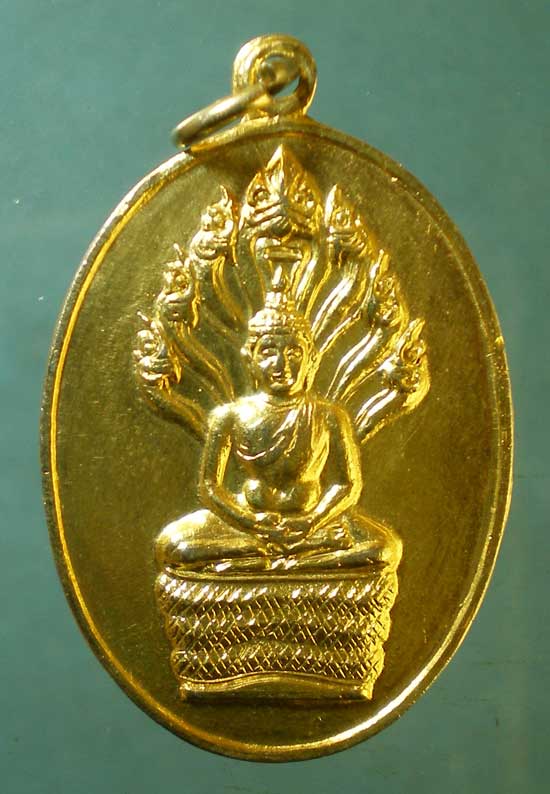 เหรียญพระนาคปรก เจ้าคุณนร