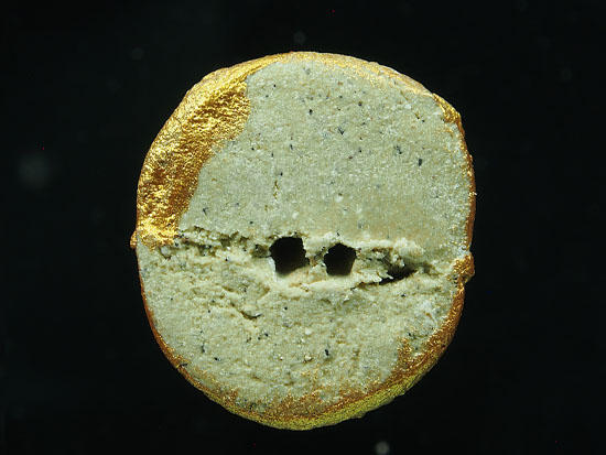 HPT 22 หนุมานชมภูนุช ทาทอง กรรมการ เนื้อผงพุทธคุณผสมว่าน 108 หลวงปู่หมุน