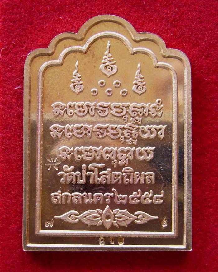 เหรียญหลวงตาบุญหนา รุ่นซุ้มร่ำรวย เนื้อทองแดง หมายเลข 810