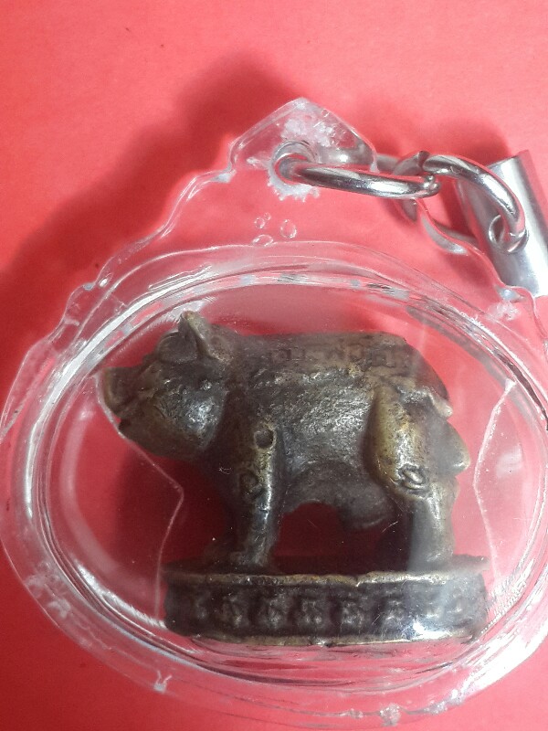 หมูหลวงพ่อเปิ่น เลีี่ยมกรอบเคาะเดียว 900บาท