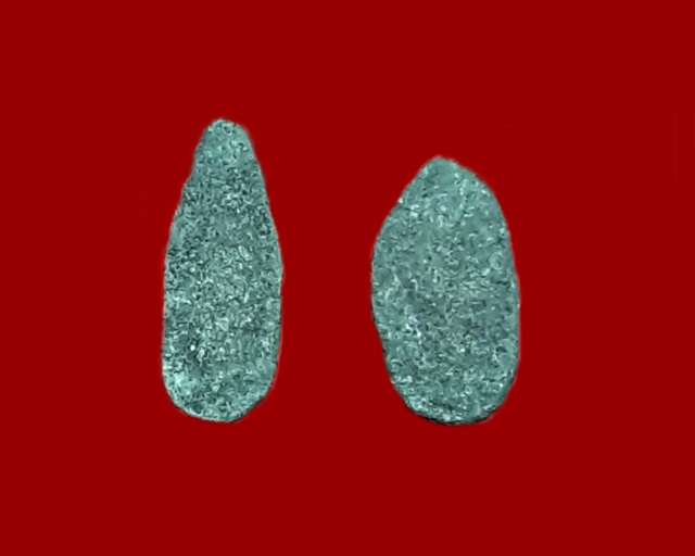 พระพิจิตรเม็ดข้าวเม่า หลวงพ่อยี วัดดงตาก้นทอง