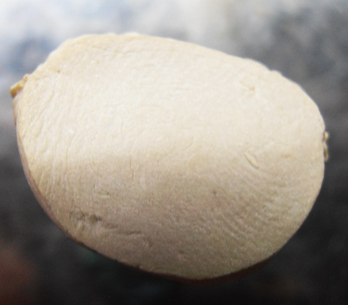 พระคำข้าวหลวงปู่หมุน วัดสุทัศน์ สวยๆครับ