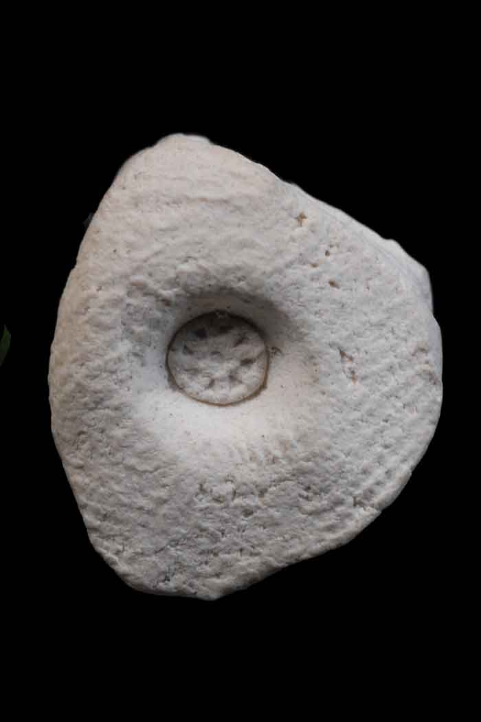 รูปเหมือนลอยองค์ ท่านเจ้าคุณนรฯ วัดเทพศิรินทร์ เนื้อผง ก้นดอกจันทร์ ปี 13 พร้อมบัตร ขึ้นคอได้สบายใจ