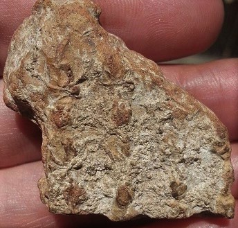 นาดูนกรุเก่า เนื้อนิยม 