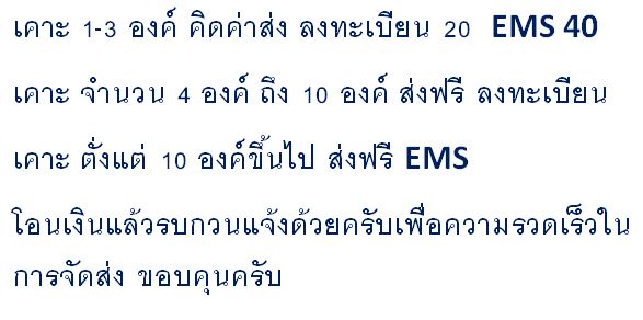 เคาะเดียว เหรียญงานชุมนุมลูกเสือแห่งชาติครั้งที่ 5 พ.ศ.2508