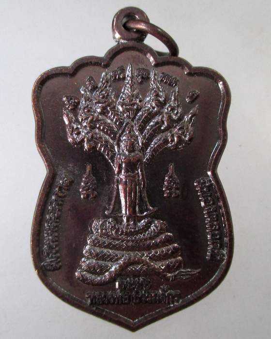 ๒๐ เหรียญหลวงพ่อธรรมจักร วัดเชิงท่า จ อยุธยา