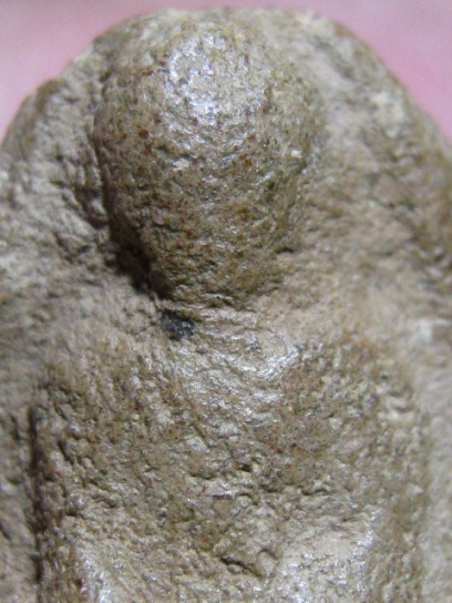 พระเม็ดน้อยหน่า เนื้อดิน จ.สุโขทัย สภาพพอสวย รับประกันความแท้ตลอดไป