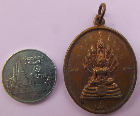 เหรียญ พระนาคปรก ครบรอบ108ปี กรมชลประทาน