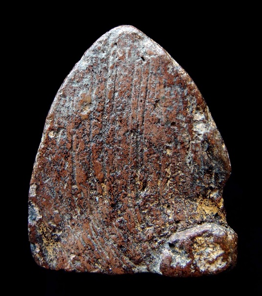 หลวงพ่อโต บางกระทิง กรุเก่า รักทองเดิมๆ จัดๆ