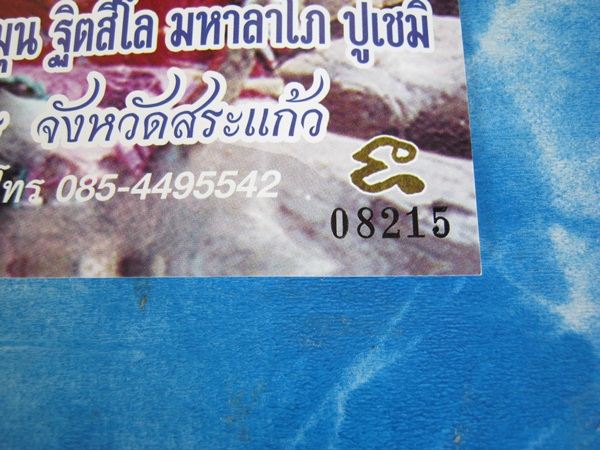รูปภาพ ขนาด 8x10 หลวงปู่หมุน วัดป่าหนองหล่ม