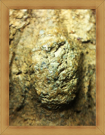 บ้านกร่างพิมพ์เศียรโต