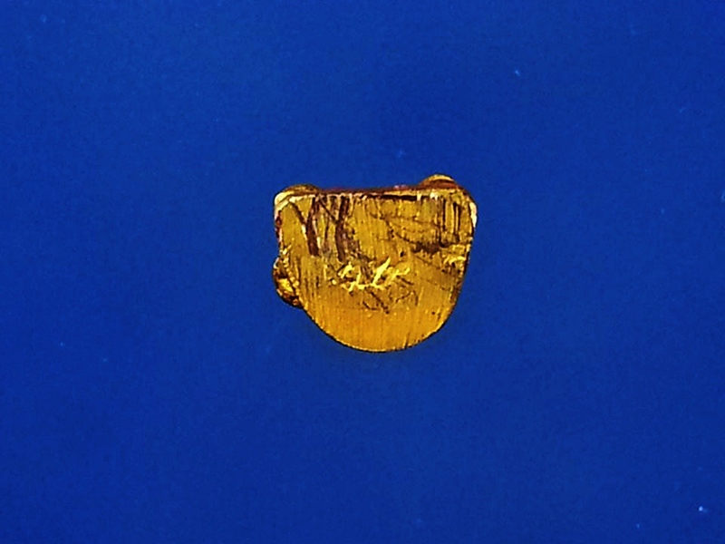 รูปเหมือน สมเด็จพระพุฒาจารย์(โต) วัดอินทรวิหาร