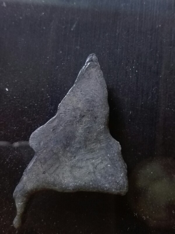 พระเนื้อชิน