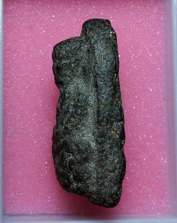 หลวงพ่อทวด เนื้อว่าน ปี2497 พิมพ์ชลูด