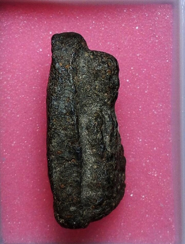 หลวงพ่อทวด เนื้อว่าน ปี2497 พิมพ์ชลูด