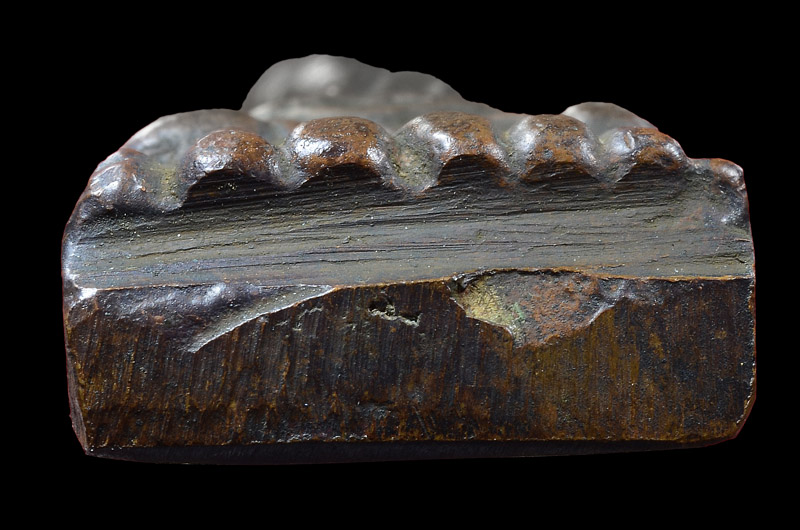 พระหลวงพ่อทวด วัดช้างให้ พิมพ์เตารีดเล็ก หน้าอาปาเช่ แข้งขีด ปี2505